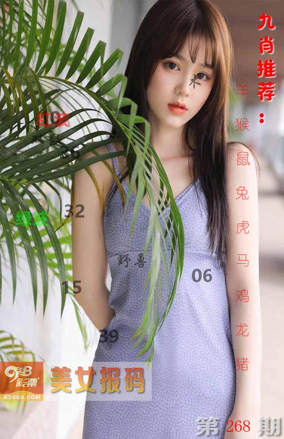美女报码 第268期