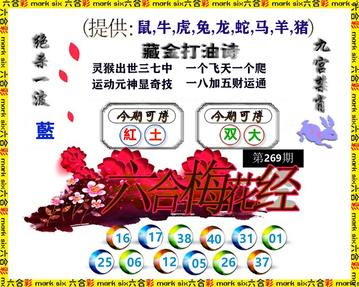 六合梅花经 第269期