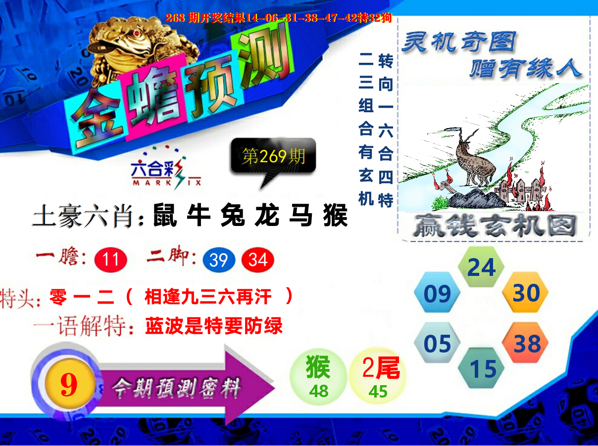 金蟾预测 第269期