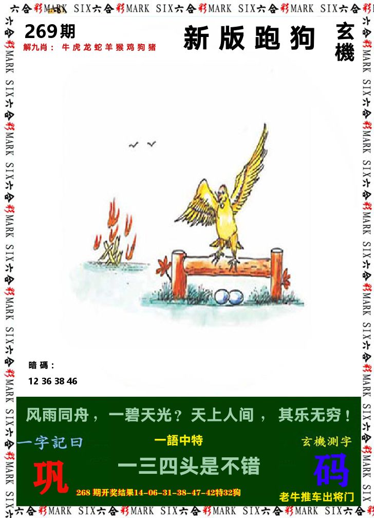悟入其图 第269期