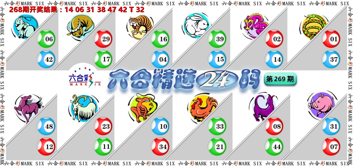 六合精选24码 第269期