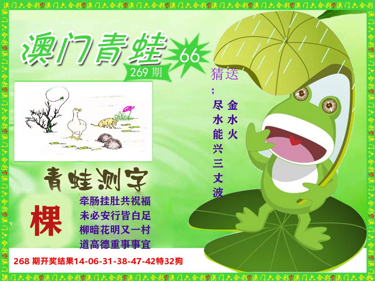 青蛙系列66 第269期