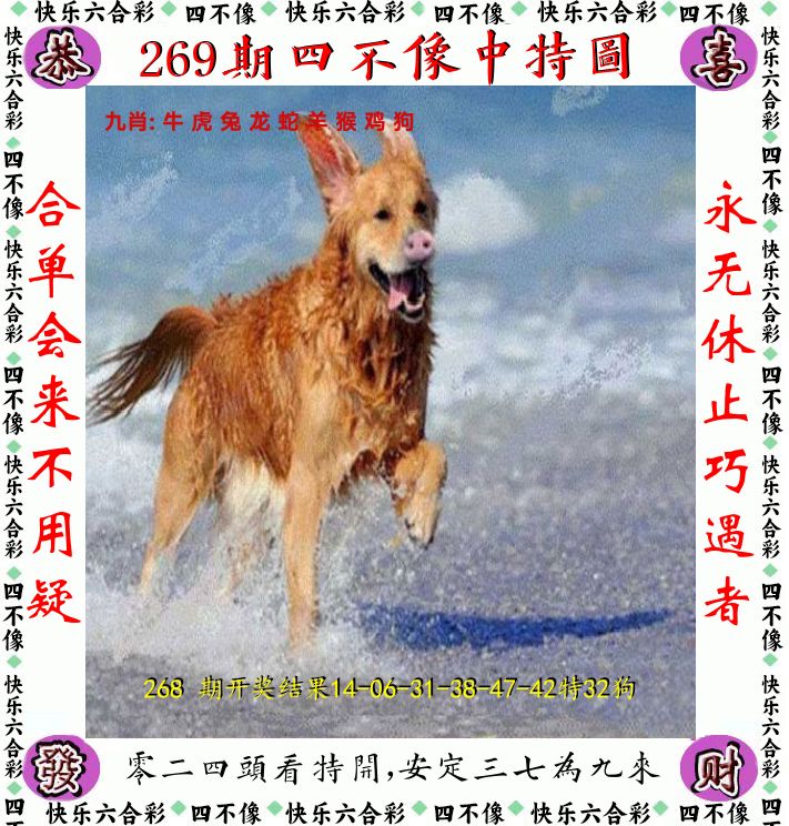 四不像 第269期