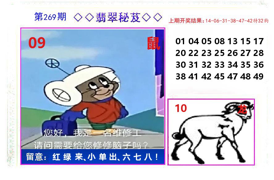 翡翠秘芨 第269期