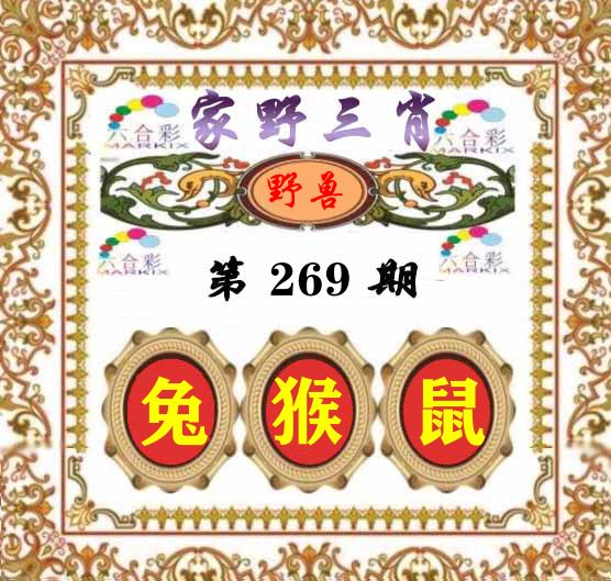 家野三肖 第269期