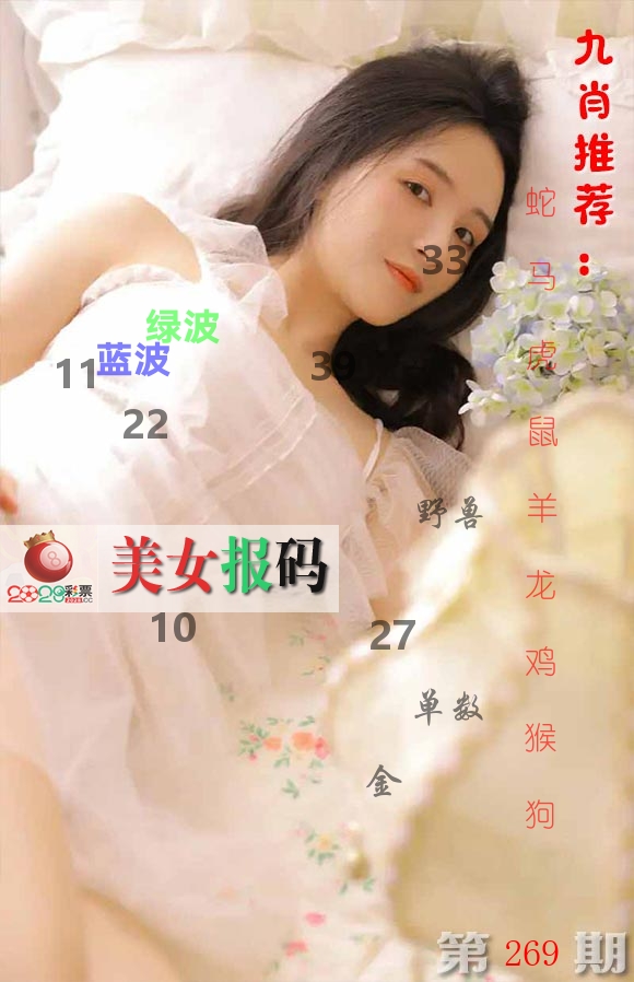 美女报码 第269期