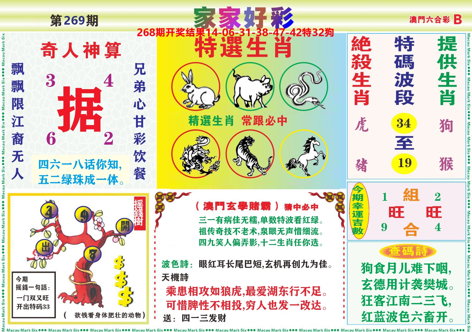 家家好彩B 第269期