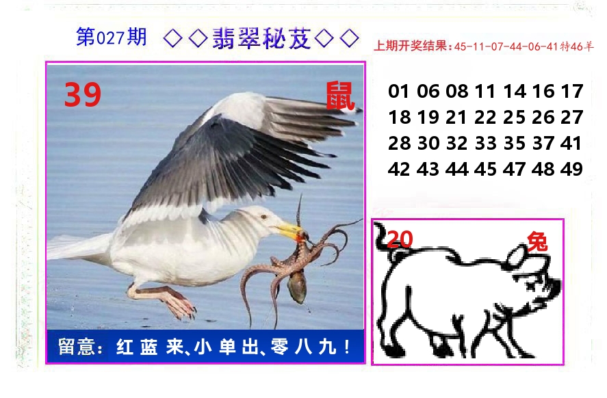 翡翠秘芨 第27期