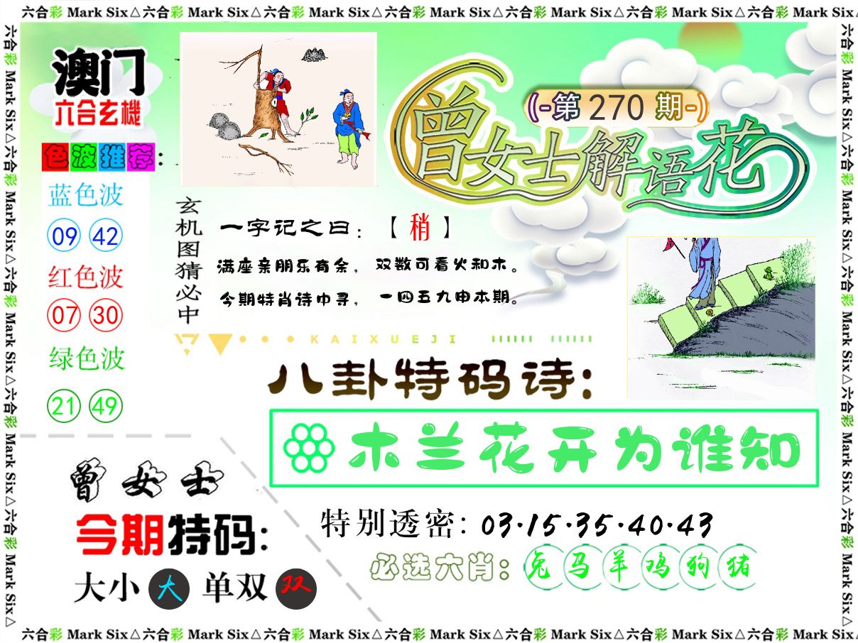 曾女士解语花 第270期