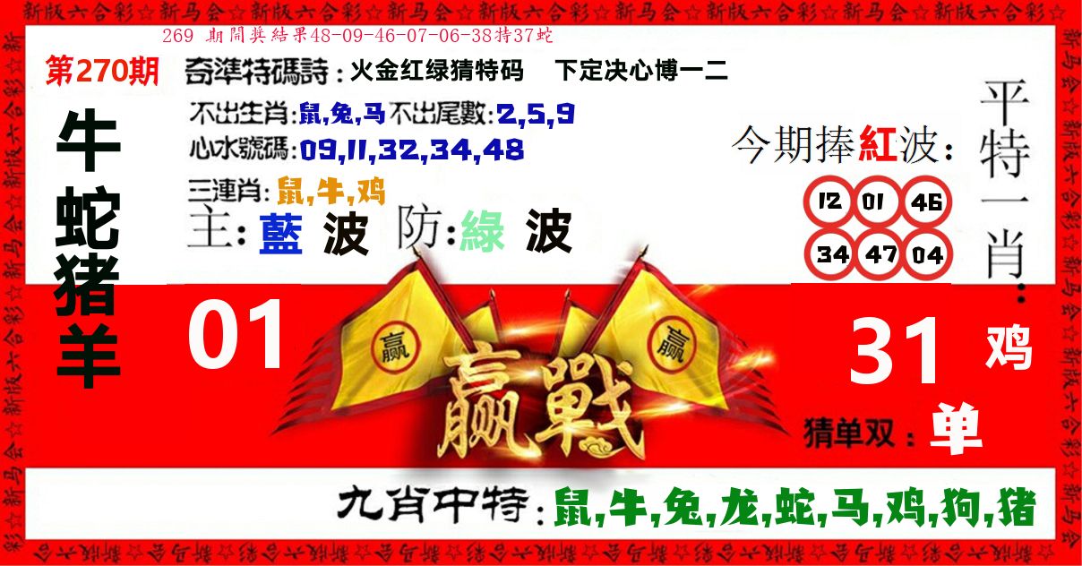 赢站 第270期