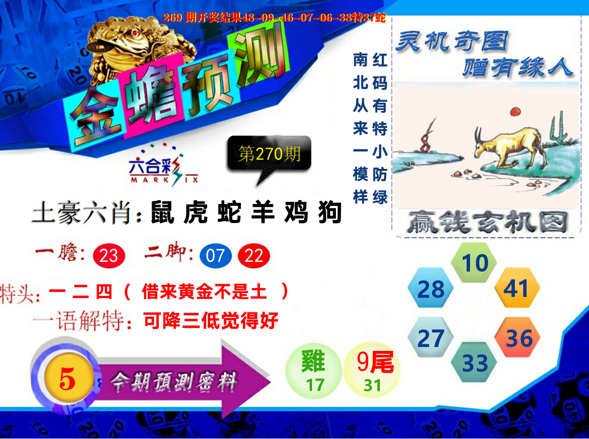 金蟾预测 第270期
