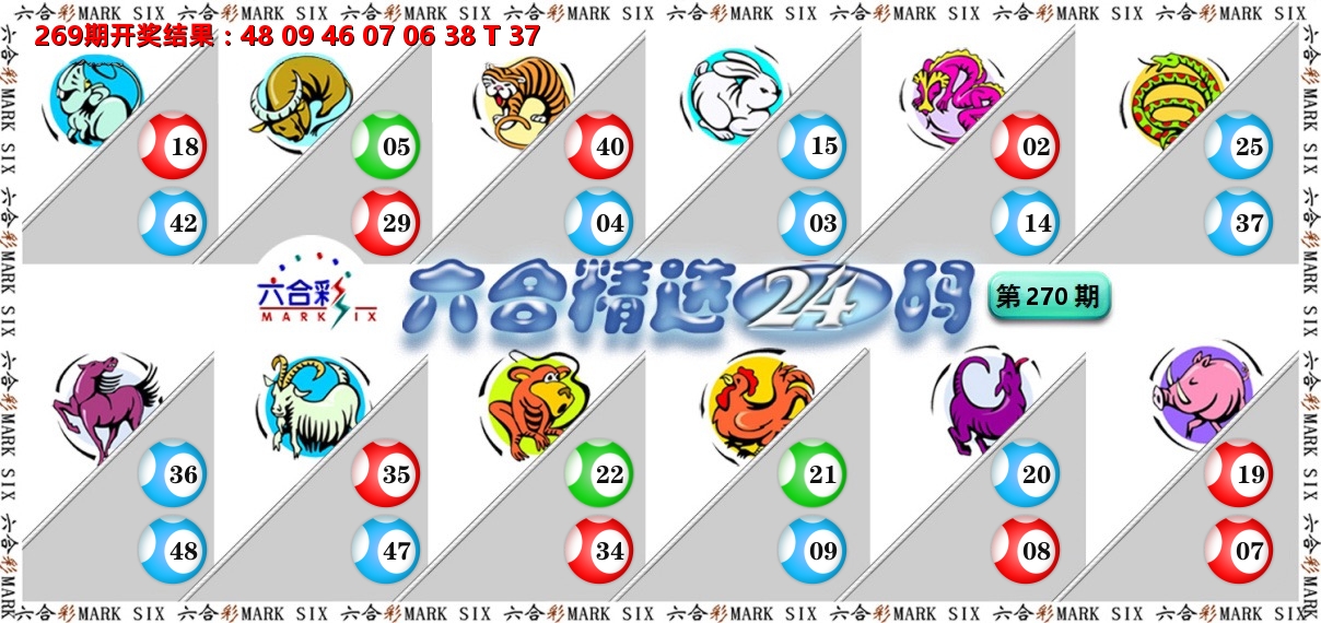六合精选24码 第270期