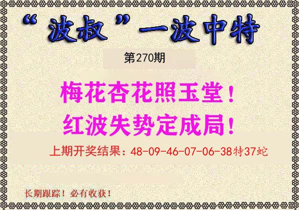 波叔中特 第270期