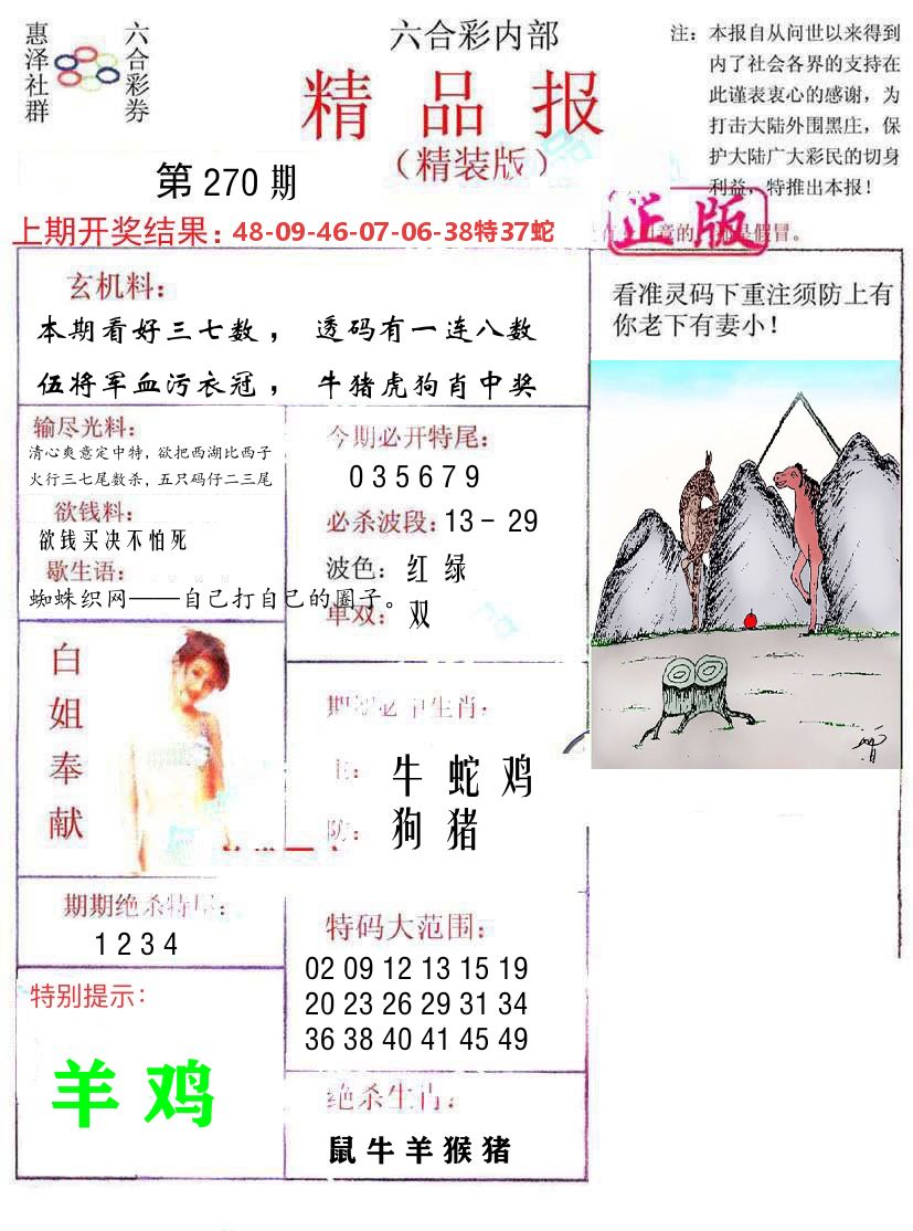精品报 第270期