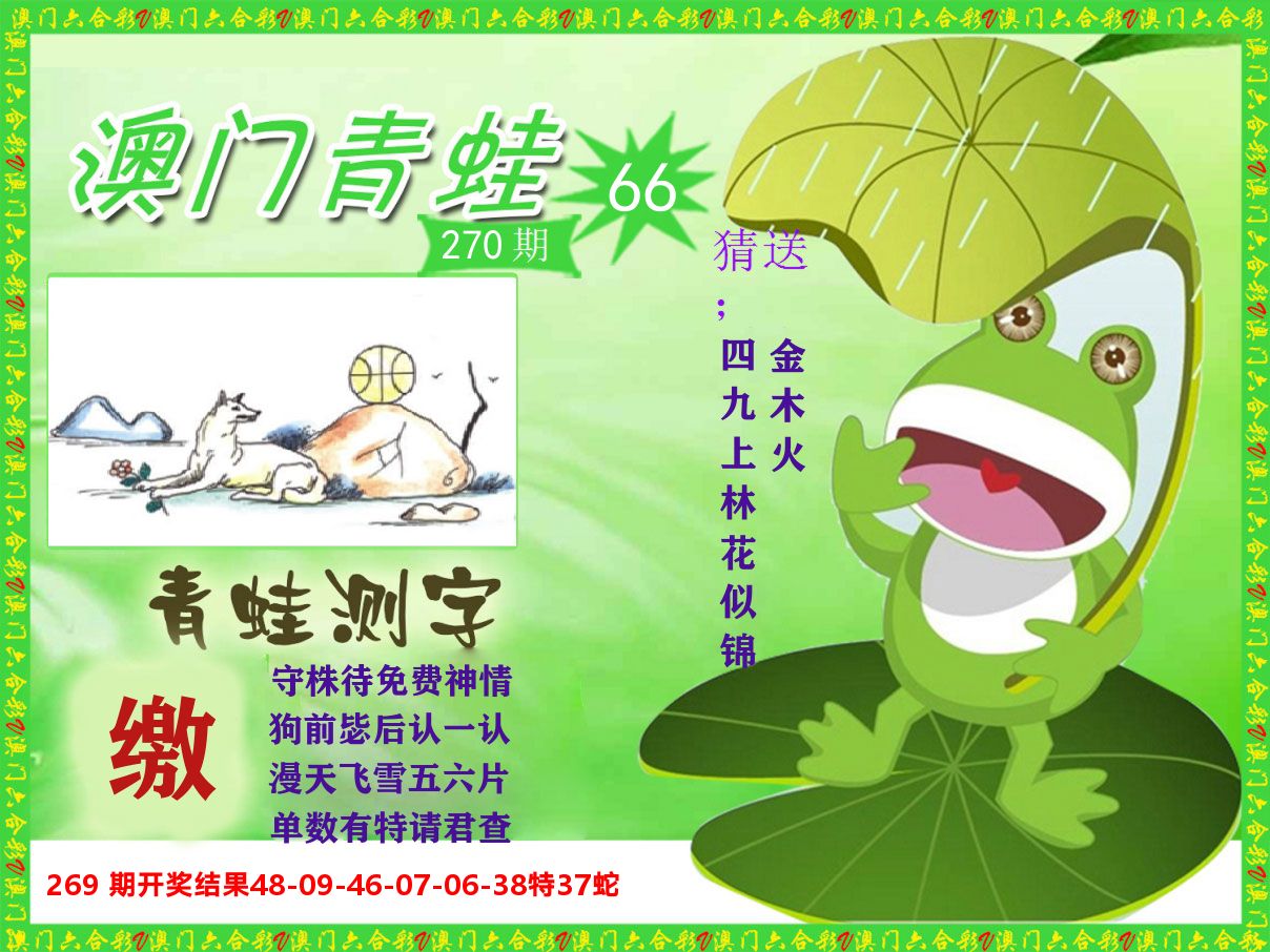 青蛙系列66 第270期
