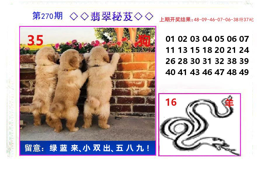 翡翠秘芨 第270期