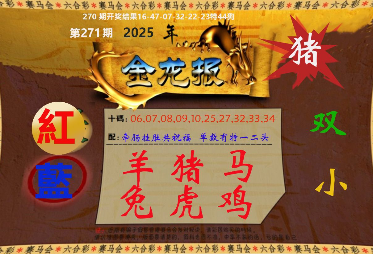 金龙报 第271期