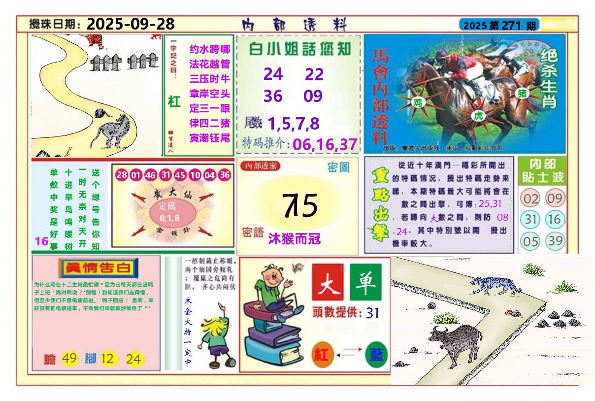 澳门内部透料A 第271期