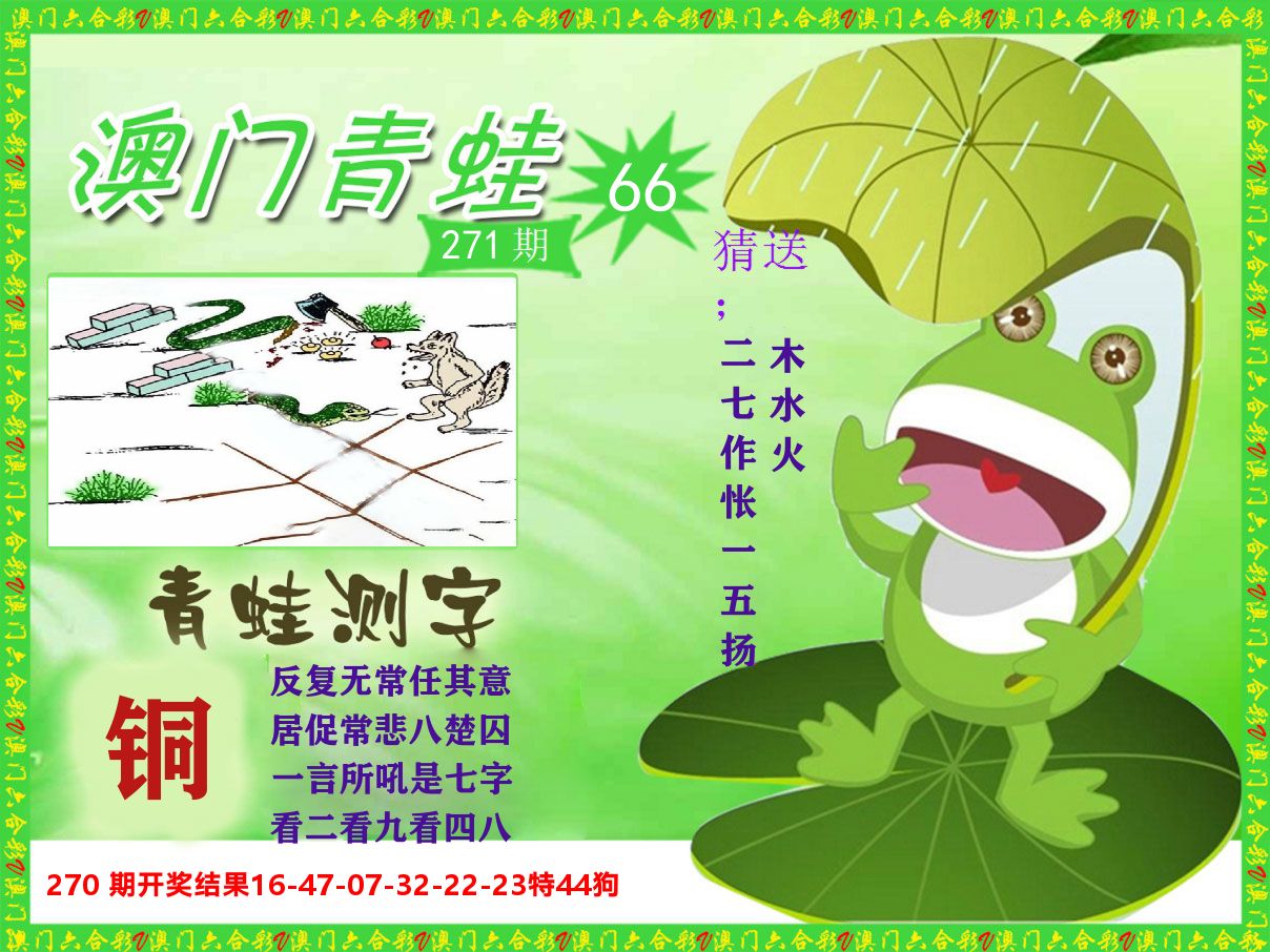 青蛙系列66 第271期