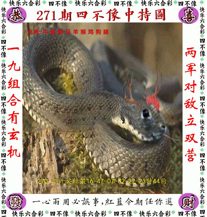 四不像 第271期