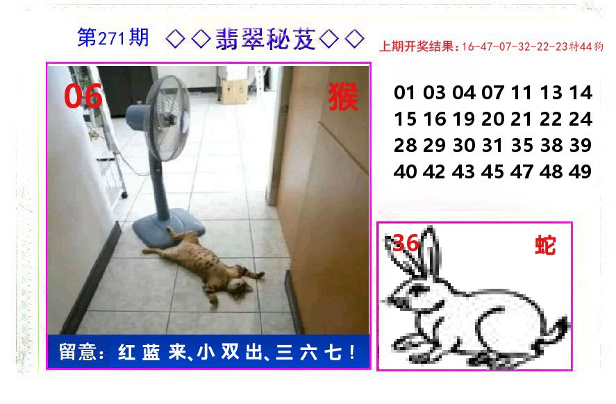 翡翠秘芨 第271期