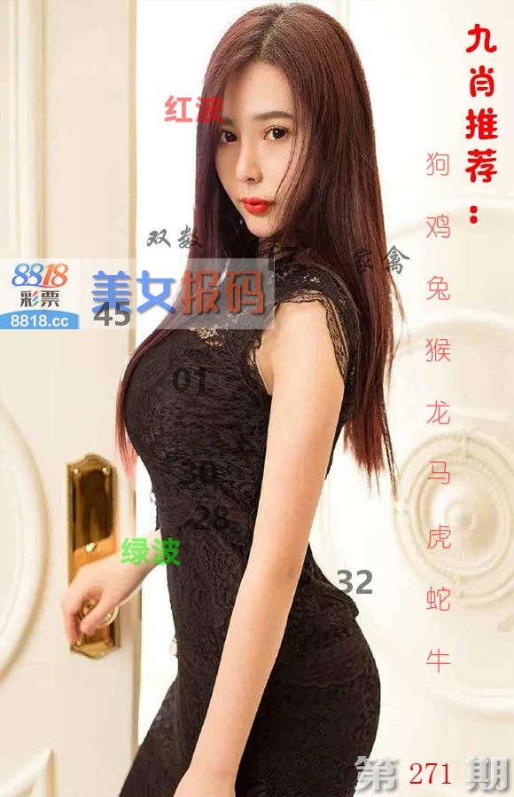 美女报码 第271期