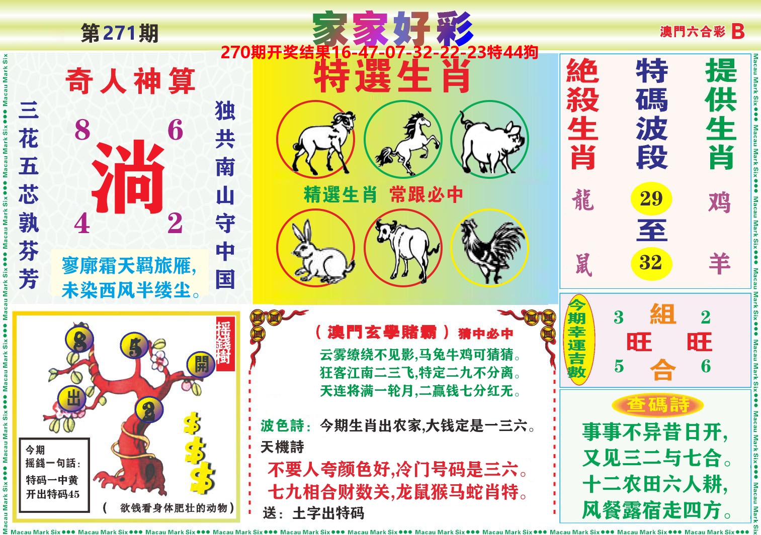 家家好彩B 第271期