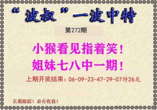 波叔中特 第272期