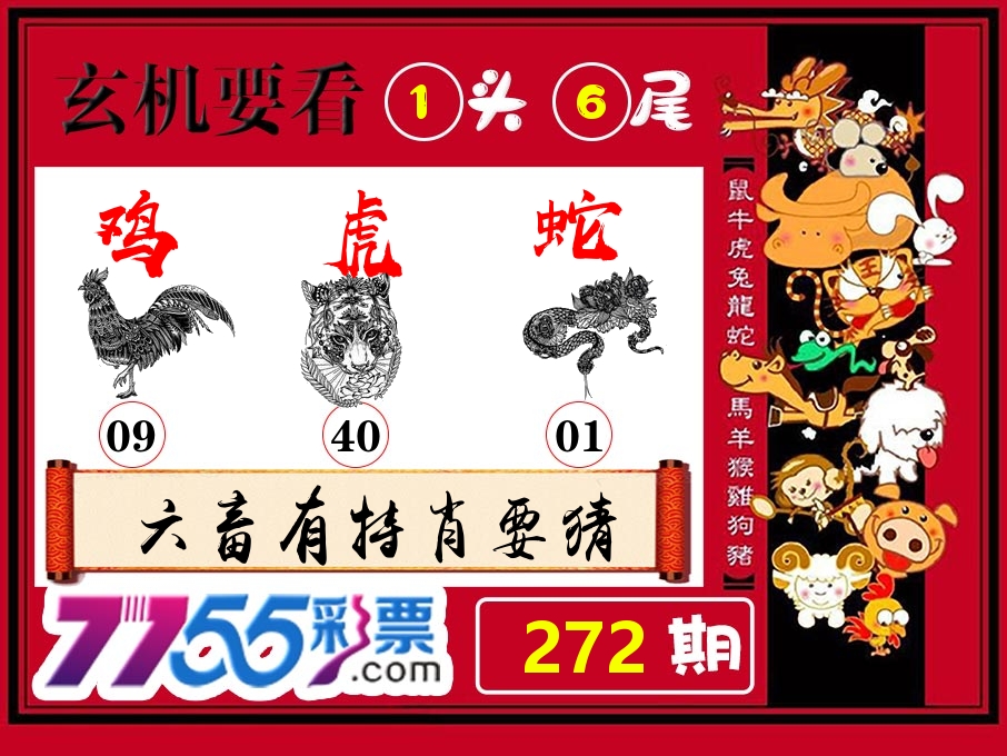 玄机要看 第272期
