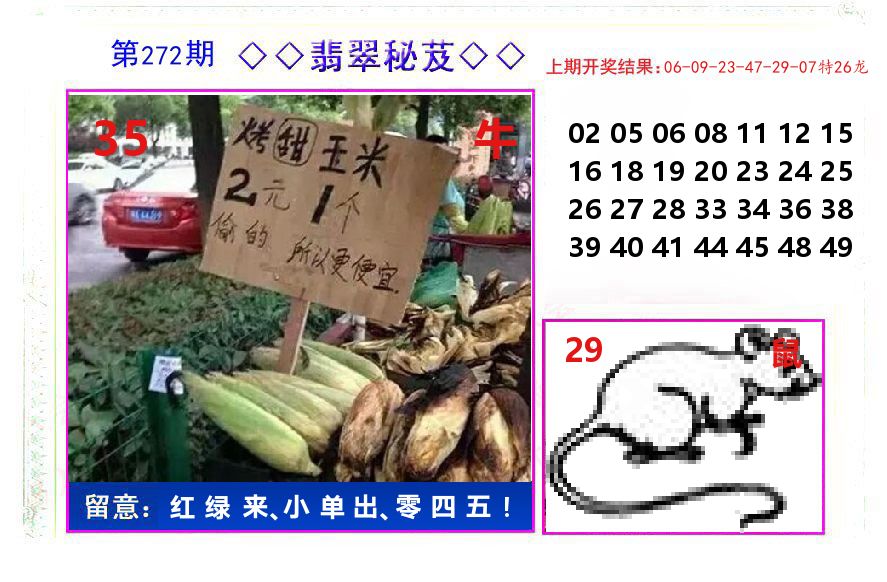 翡翠秘芨 第272期