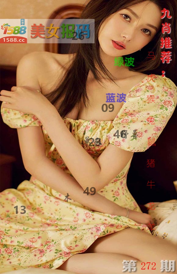 美女报码 第272期