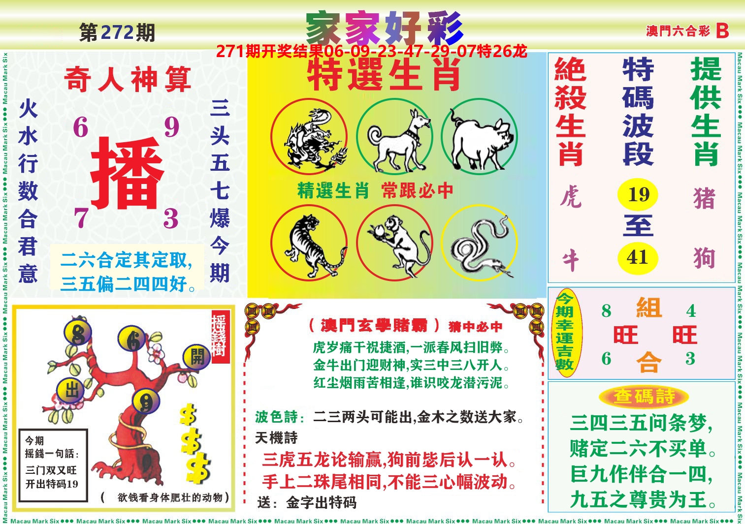 家家好彩B 第272期
