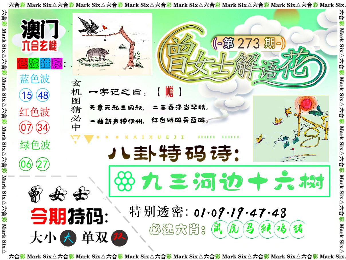 曾女士解语花 第273期