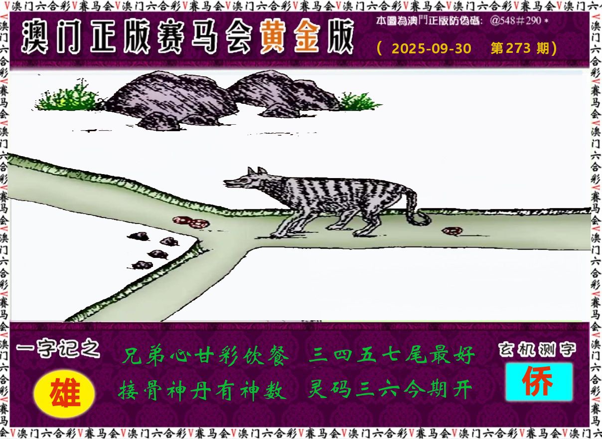 赛马会黄金版 第273期
