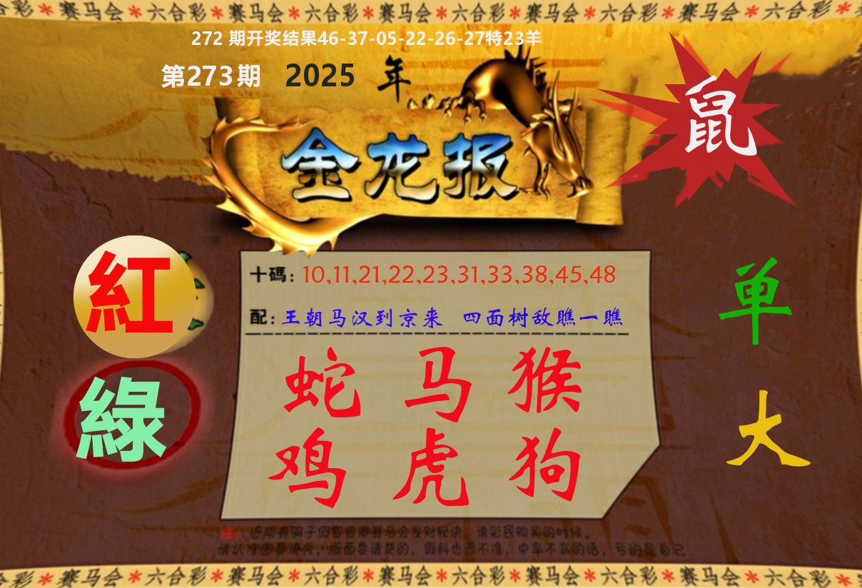 金龙报 第273期