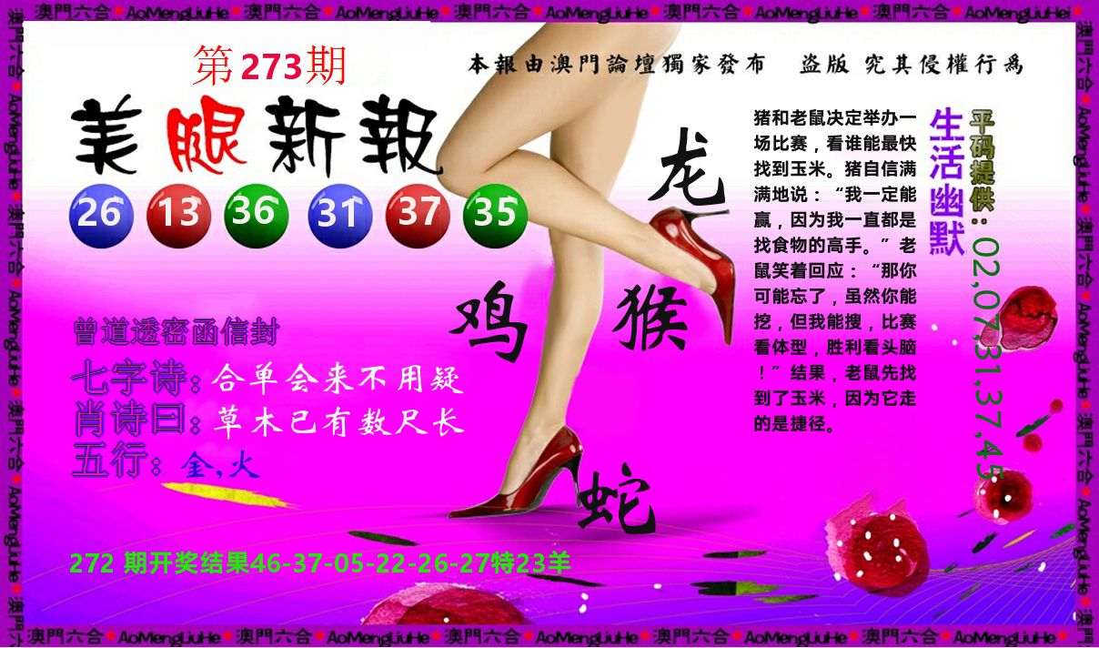 美腿新报 第273期