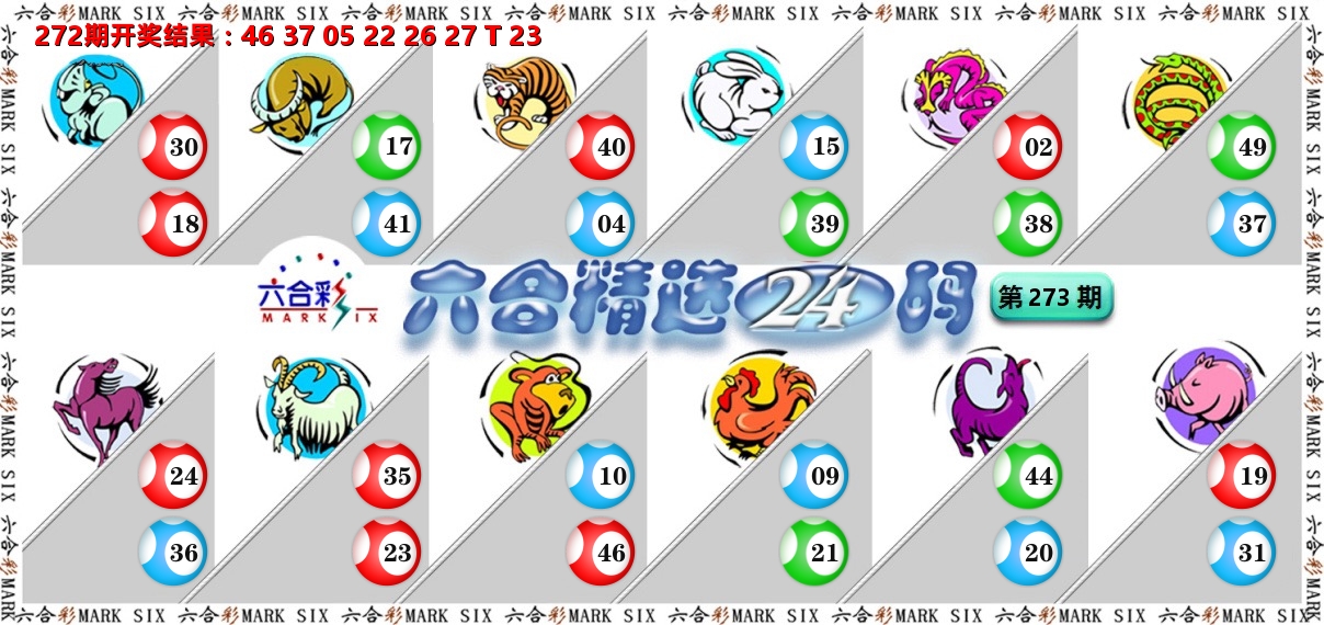 六合精选24码 第273期