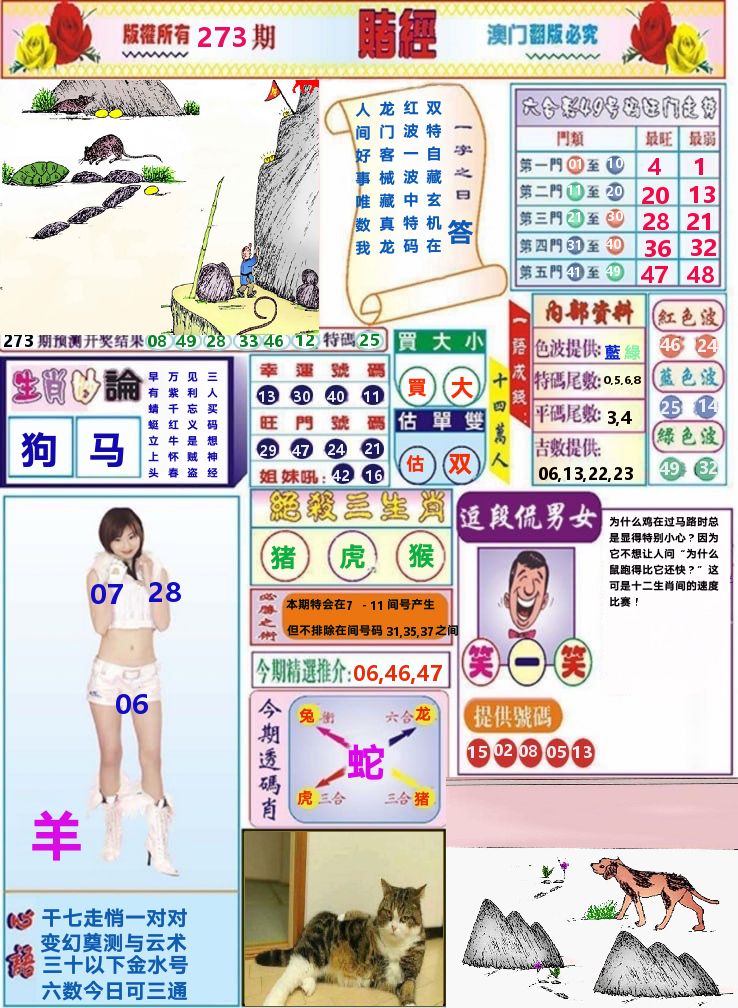 澳门赌经 第273期