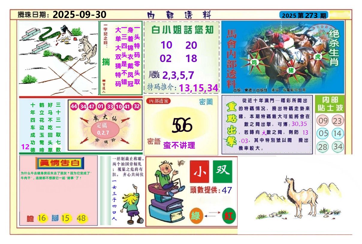 澳门内部透料A 第273期