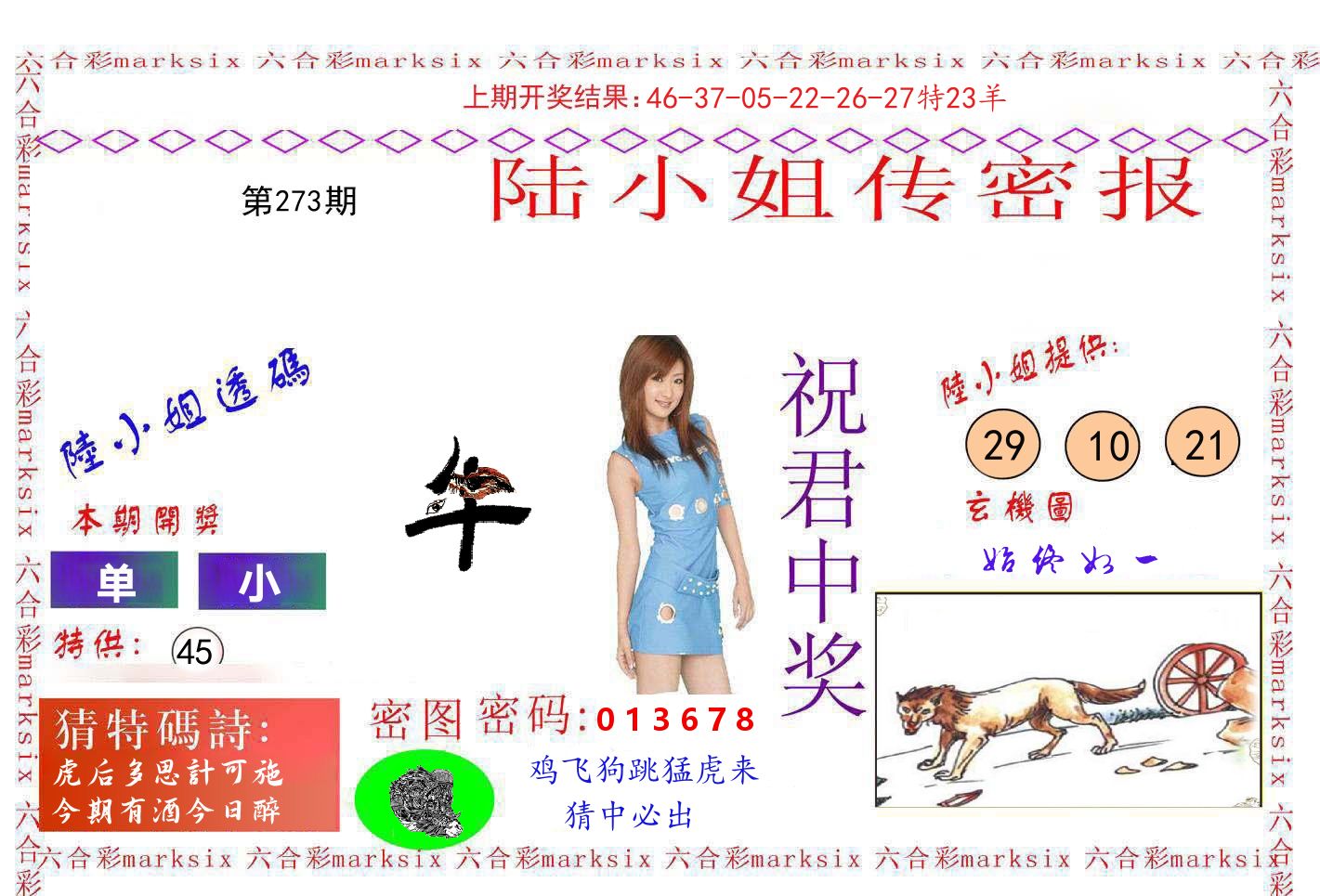 陆小姐密报 第273期
