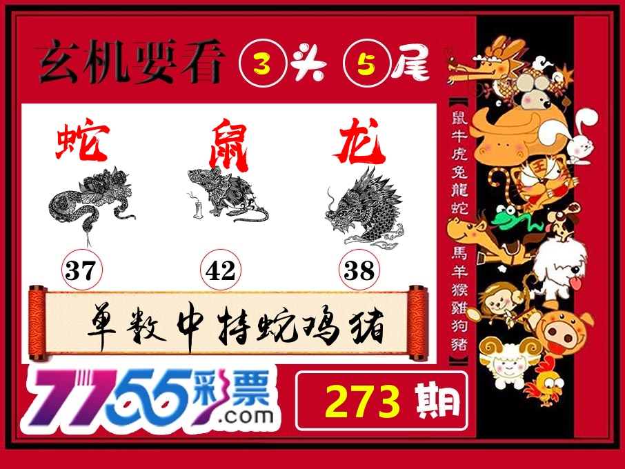 玄机要看 第273期