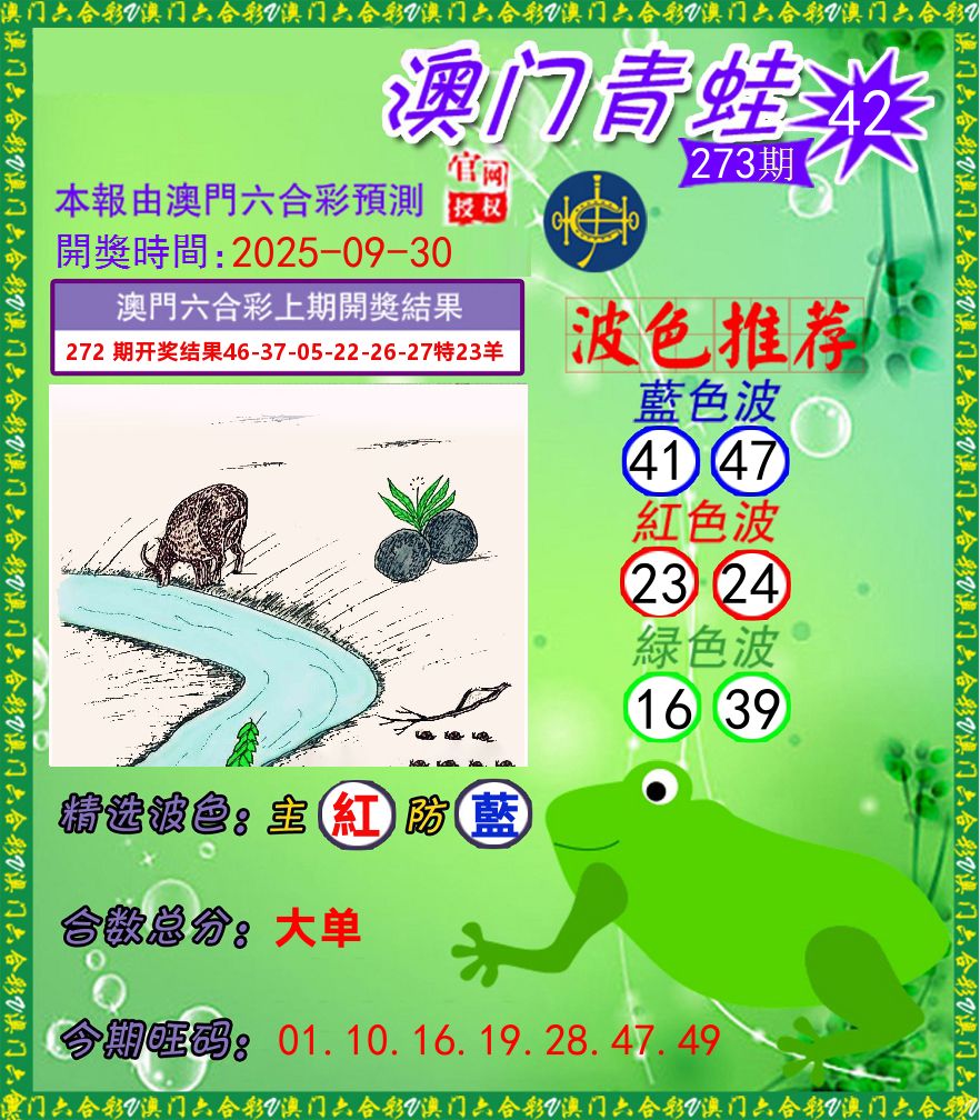 青蛙系列42 第273期