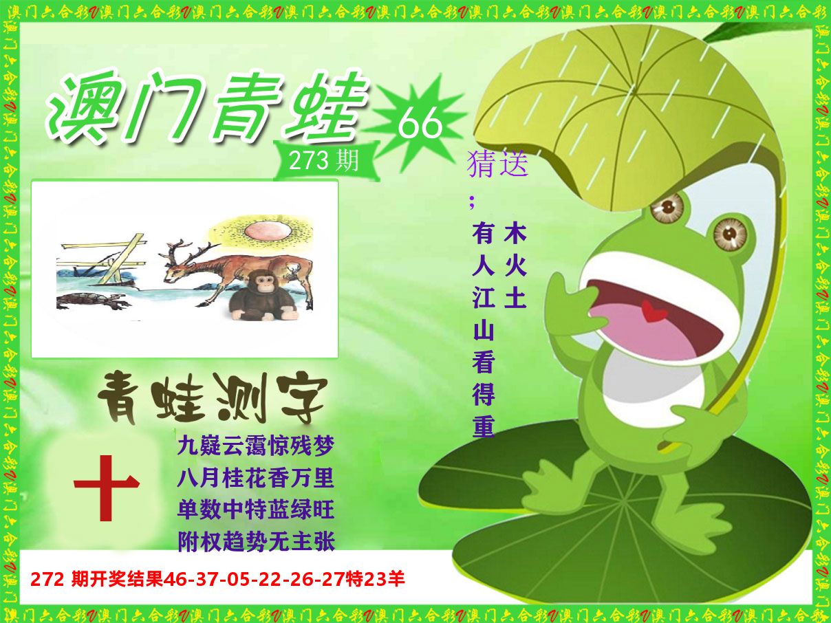 青蛙系列66 第273期