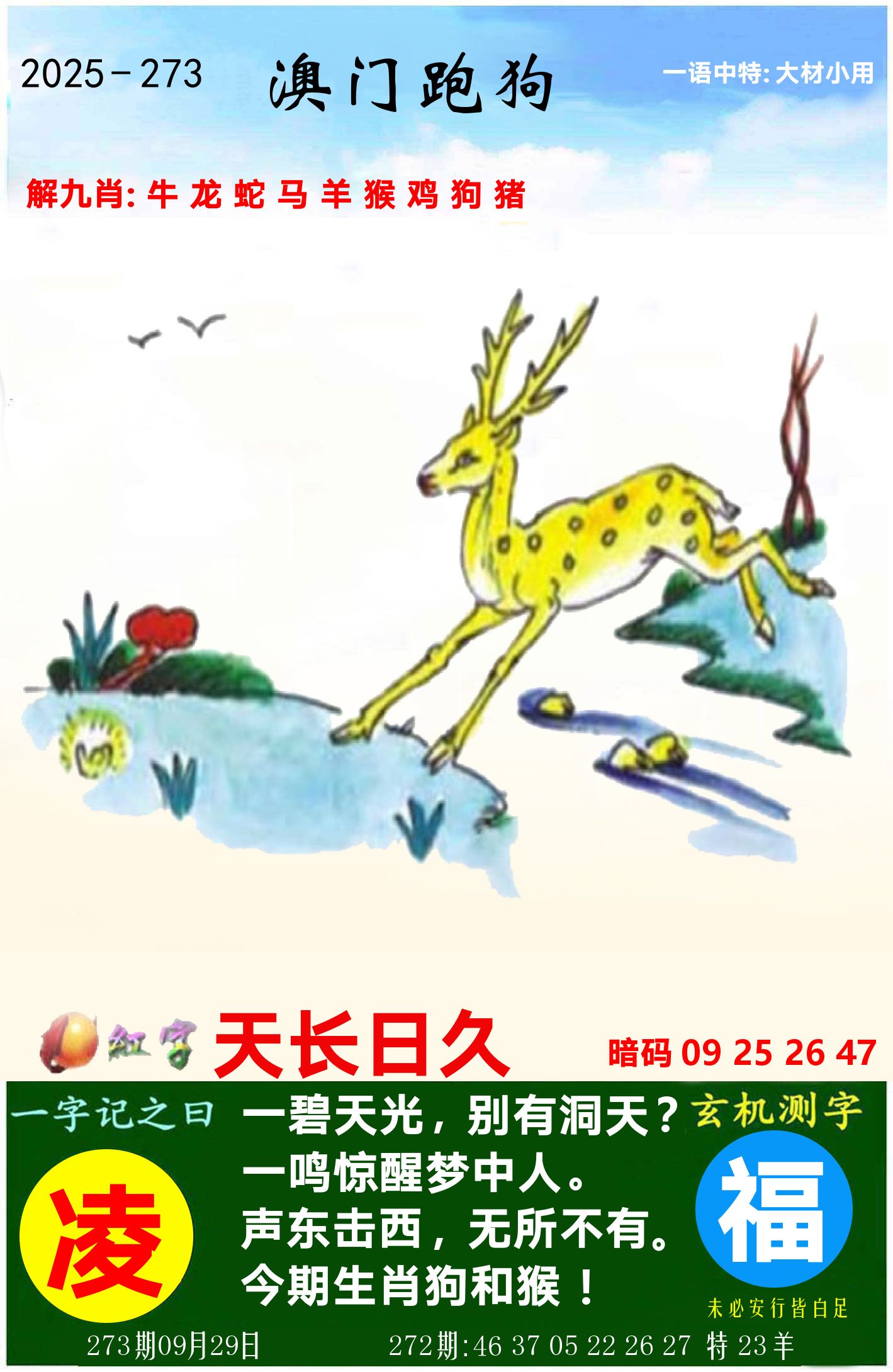 澳门跑狗图 第273期