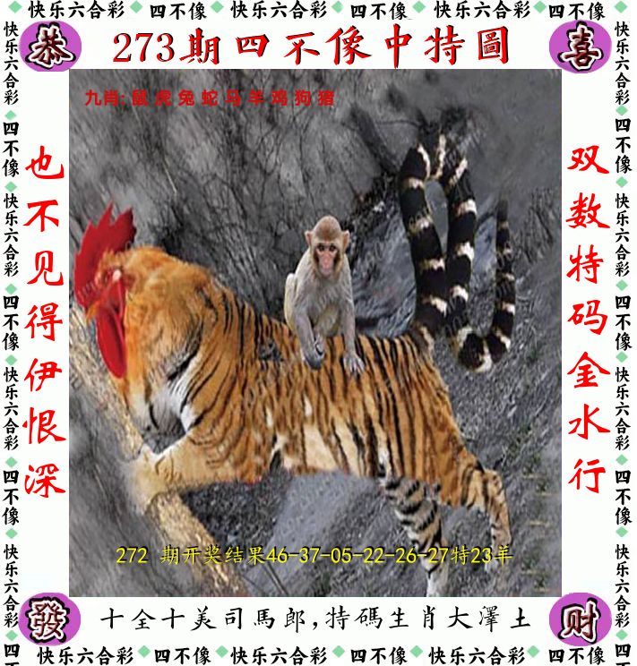 四不像 第273期