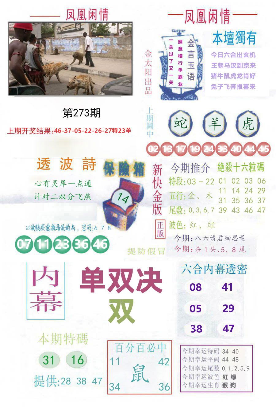 凤凰闲情 第273期