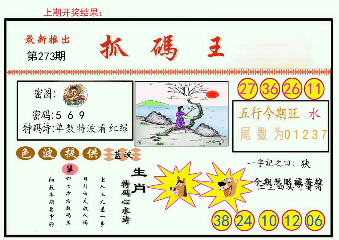 最新抓码王 第273期