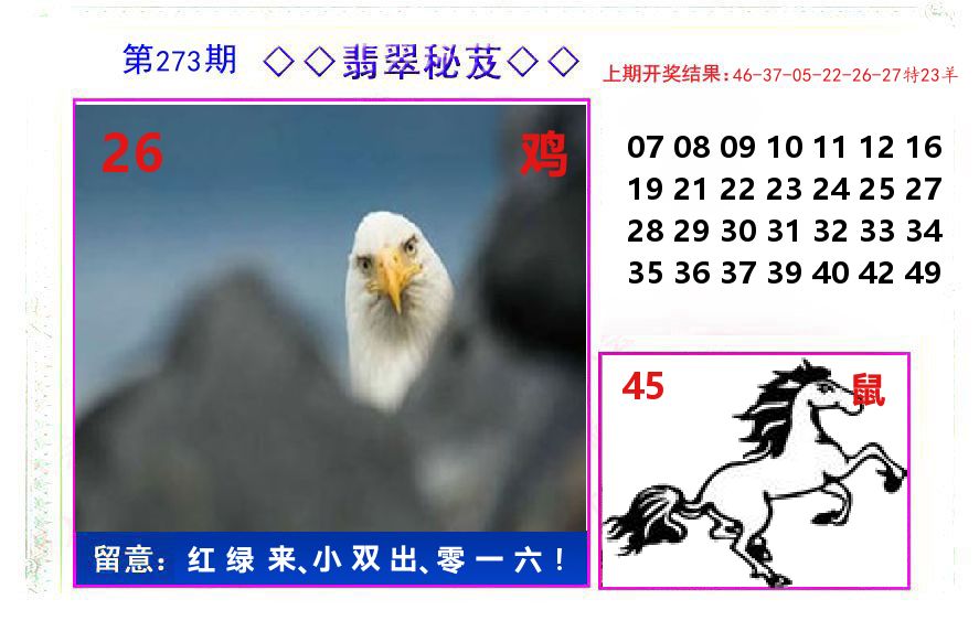 翡翠秘芨 第273期