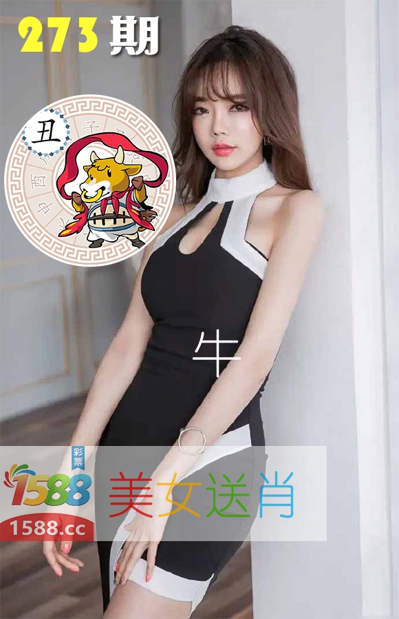 美女送肖 第273期