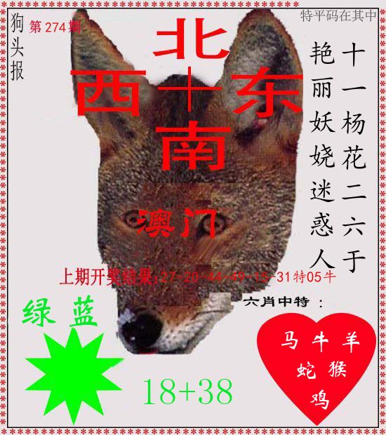狗头报 第274期